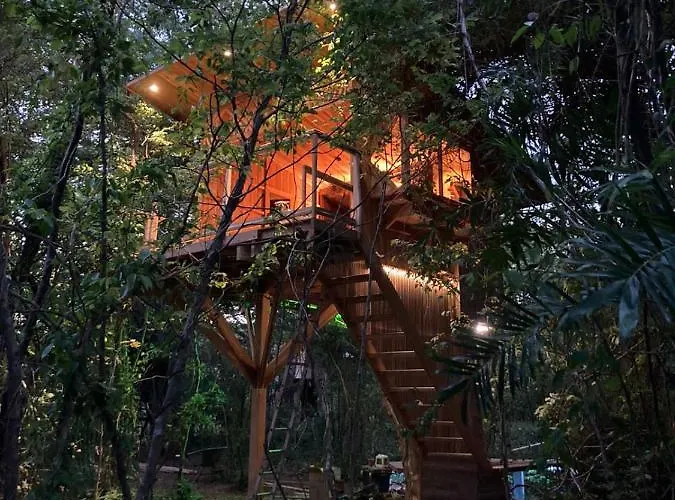 Tamarindo Pura Selva Eco Tree House