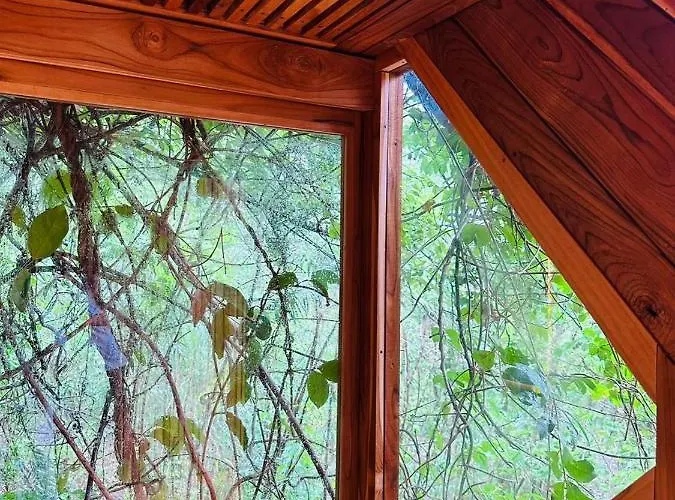 Lodge Tamarindo Pura Selva Eco Tree House *