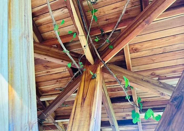 Lodge Tamarindo Pura Selva Eco Tree House Guatemala de Santa Rosa