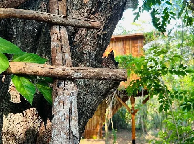 Tamarindo Pura Selva Eco Tree House Guatemala de Santa Rosa