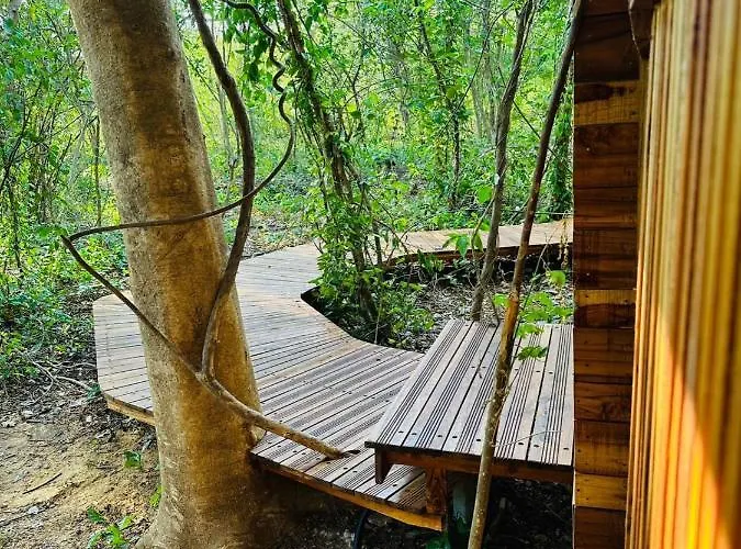 Lodge Tamarindo Pura Selva Eco Tree House Guatemala de Santa Rosa