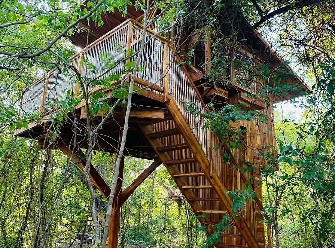 Tamarindo Pura Selva Eco Tree House *