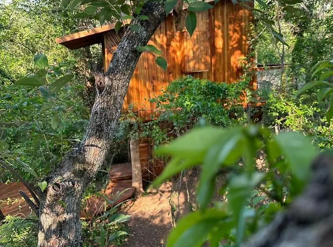 Tamarindo Pura Selva Eco Tree House Lodge Guatemala de Santa Rosa