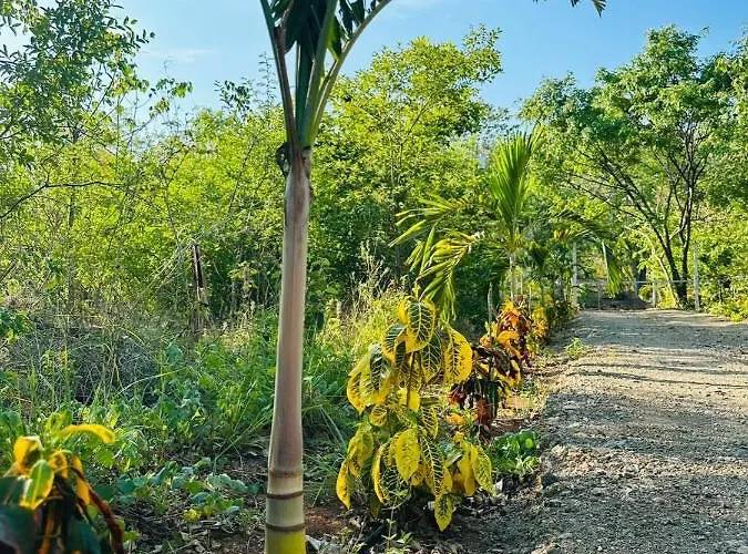 Tamarindo Pura Selva Eco Tree House