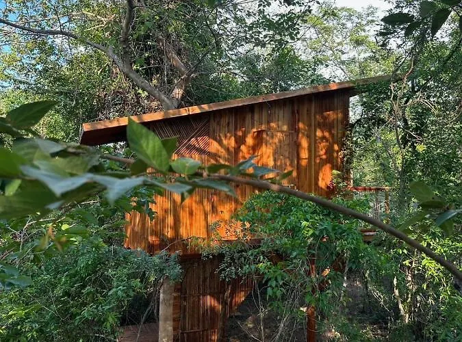 Tamarindo Pura Selva Eco Tree House Guatemala de Santa Rosa