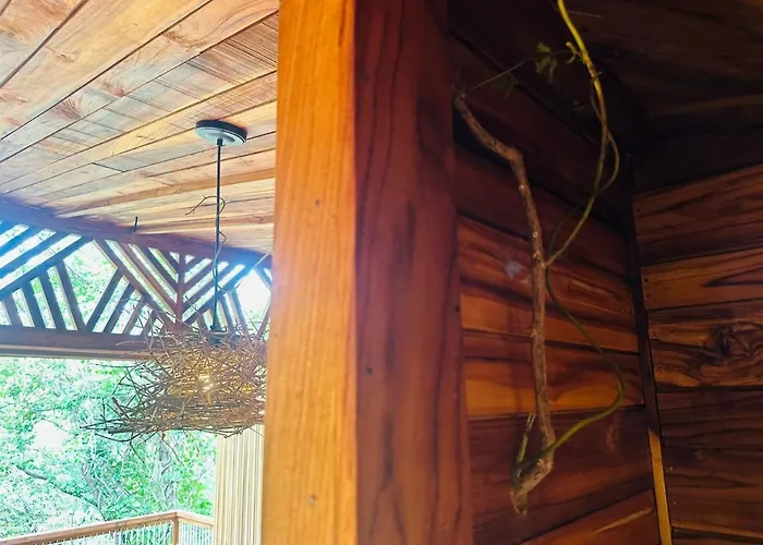 Tamarindo Pura Selva Eco Tree House Guatemala de Santa Rosa