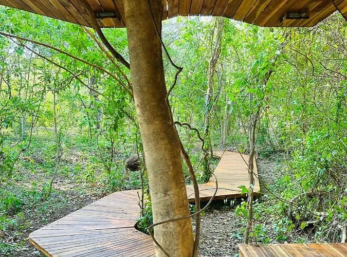 Tamarindo Pura Selva Eco Tree House Lodge Guatemala de Santa Rosa