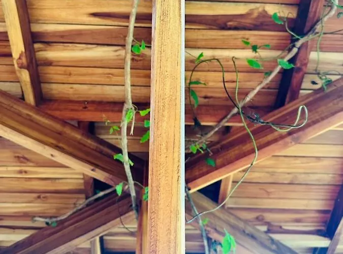 Tamarindo Pura Selva Eco Tree House * Guatemala de Santa Rosa