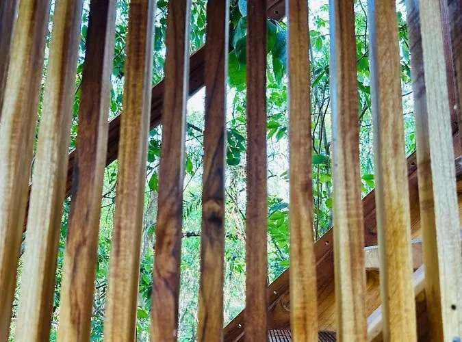 Tamarindo Pura Selva Eco Tree House Guatemala de Santa Rosa