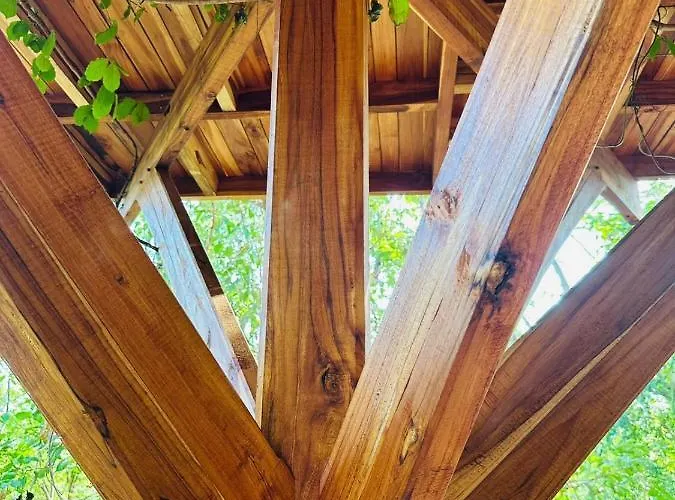 Tamarindo Pura Selva Eco Tree House