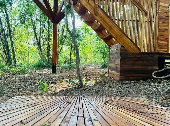 Tamarindo Pura Selva Eco Tree House Lodge Guatemala de Santa Rosa