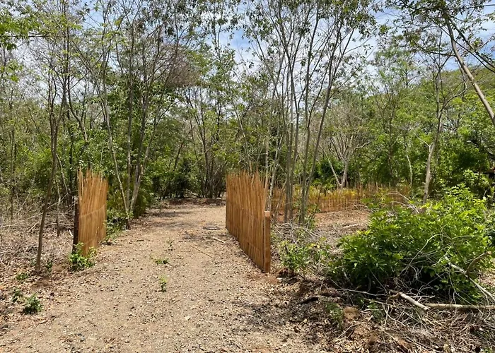 Lodge Tamarindo Pura Selva Eco Tree House