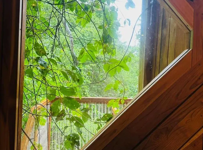 Lodge Tamarindo Pura Selva Eco Tree House Guatemala de Santa Rosa