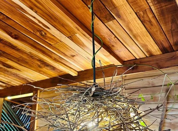 Tamarindo Pura Selva Eco Tree House Lodge