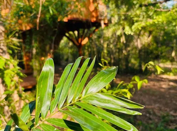 Tamarindo Pura Selva Eco Tree House Lodge *