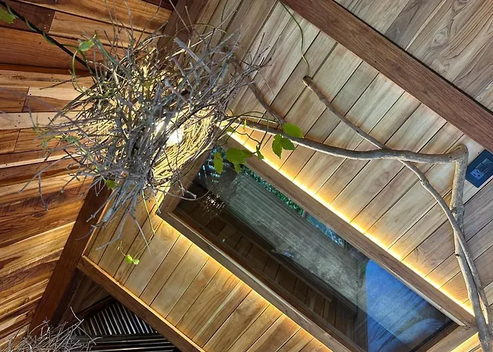 Tamarindo Pura Selva Eco Tree House Lodge Guatemala de Santa Rosa