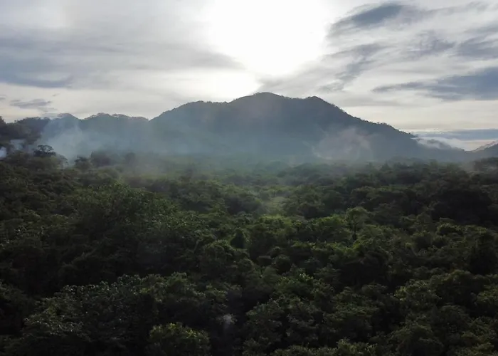 Lodge Tamarindo Pura Selva Eco Tree House